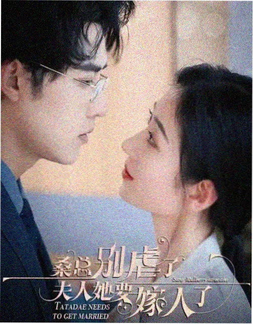 记录与采访场景压片